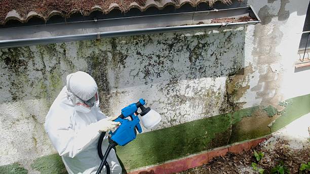 Top rated local Mold Testing specialists in Louisville, GA